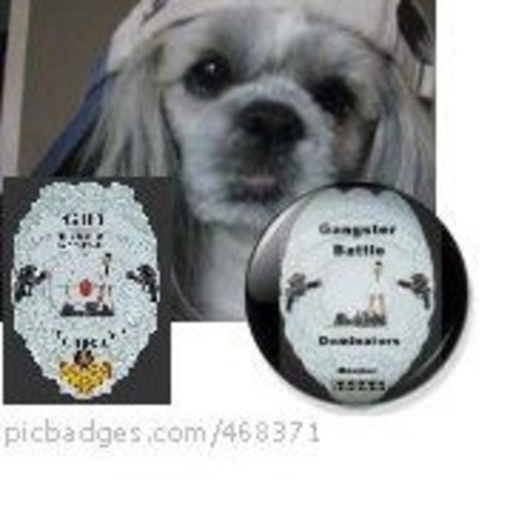 Meet your Posher, Cameron - Picture 1 of 1